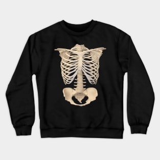 Dark academia 1980s Funny halloween  Anatomy bones skeleton Crewneck Sweatshirt